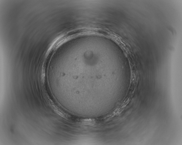 X0000111130053200906301218