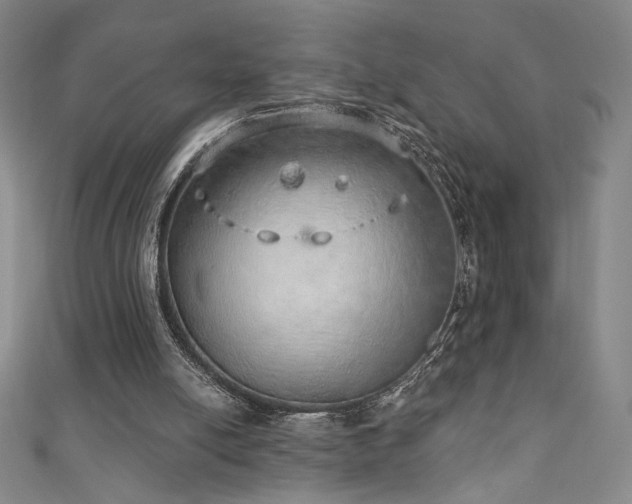 X0000111130054200906301218