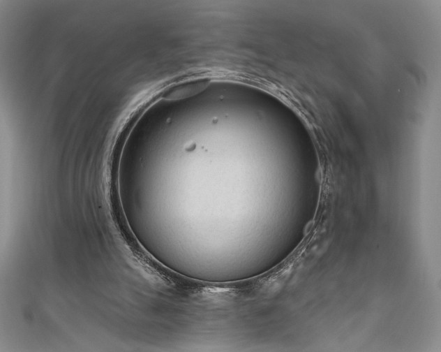 X0000111130055200906301218