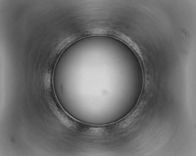X0000111130057200906301218