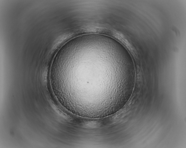 X0000111130058200906301218