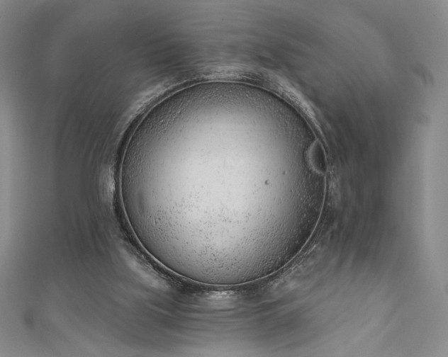 X0000111130059200906301218
