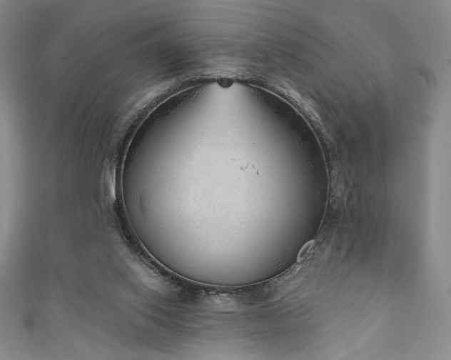 X0000111130062200906301218