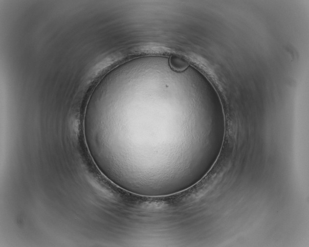 X0000111130063200906301218