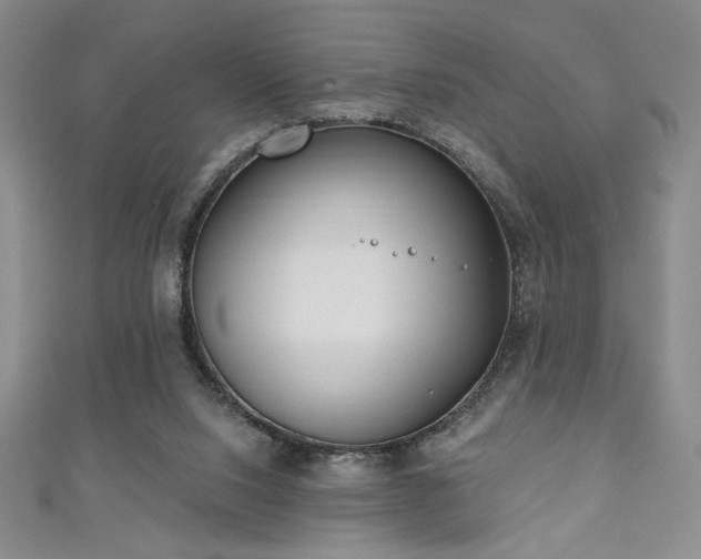 X0000111130064200906301218