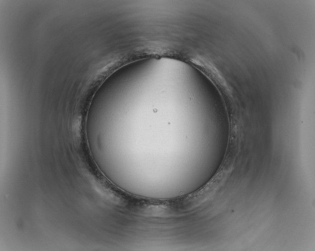 X0000111130066200906301218