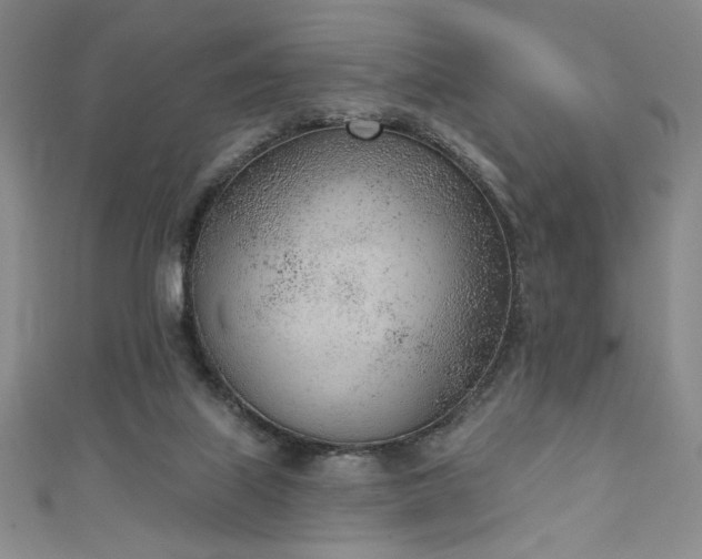 X0000111130067200906301218
