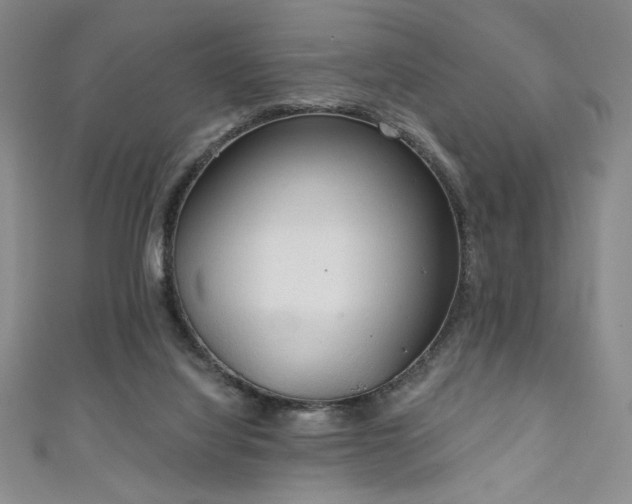 X0000111130068200906301218