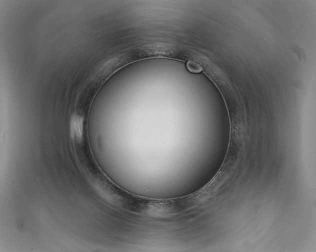 X0000111130070200906301218
