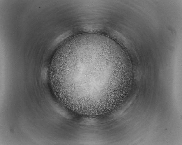 X0000111130071200906301218