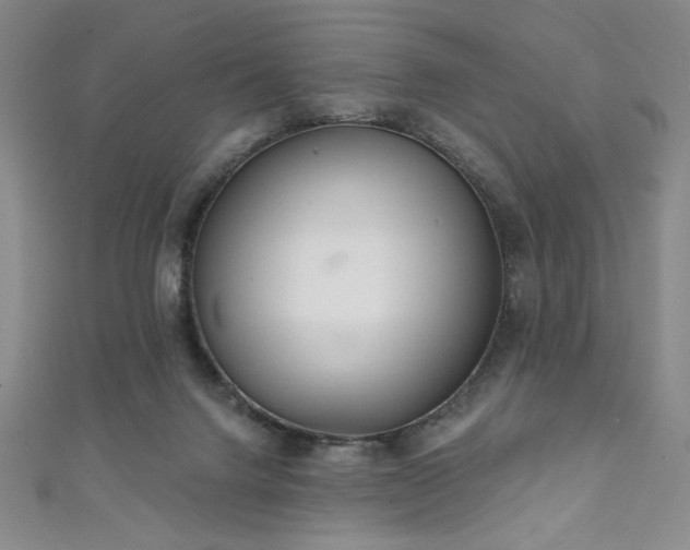 X0000111130072200906301218