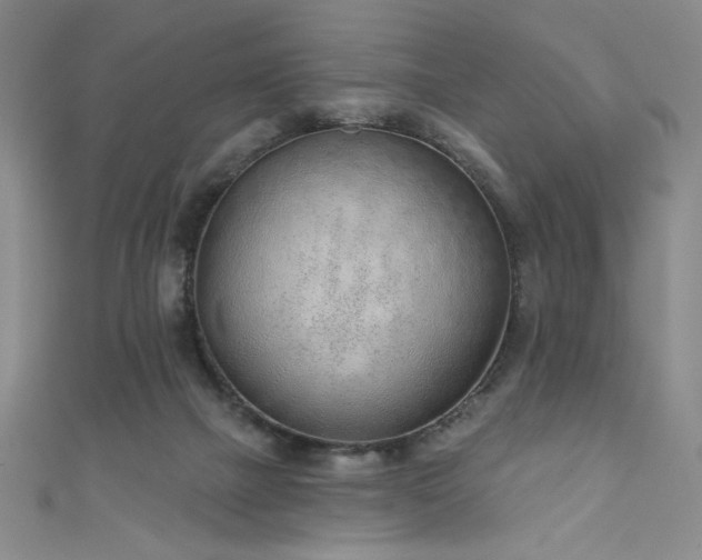 X0000111130073200906301218