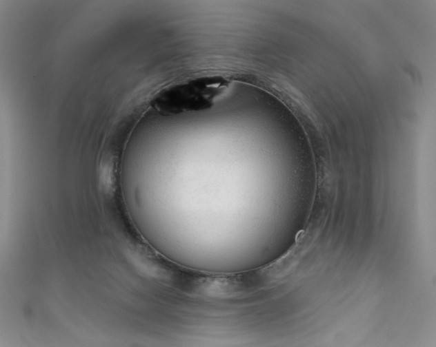 X0000111130074200906301218