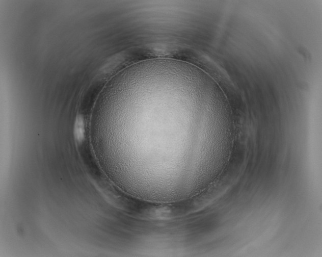 X0000111130075200906301218