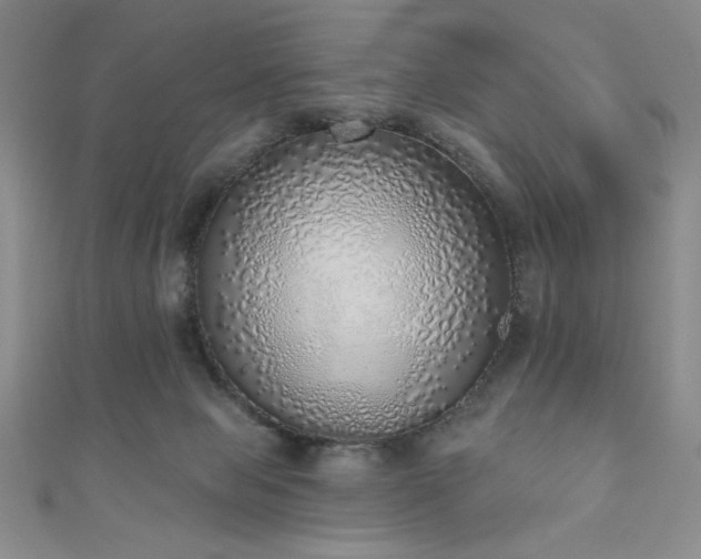 X0000111130077200906301218