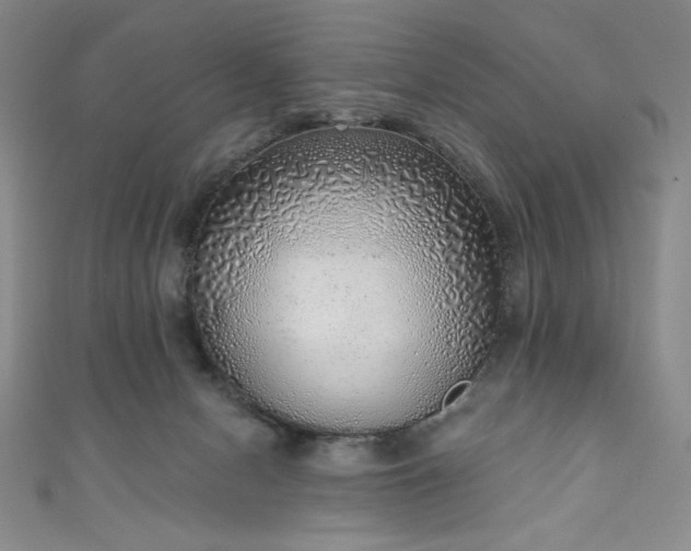 X0000111130078200906301218