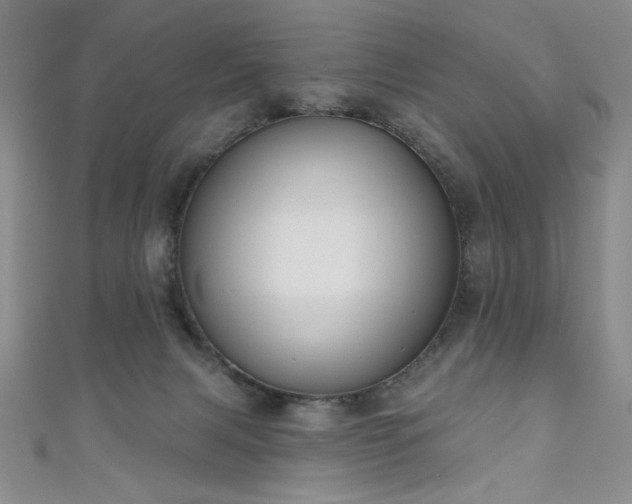 X0000111130079200906301219