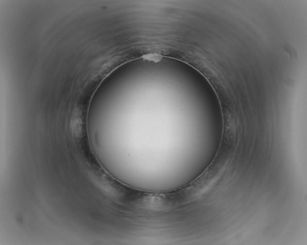 X0000111130080200906301219