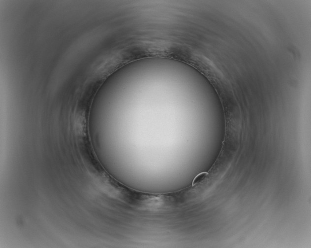 X0000111130083200906301219