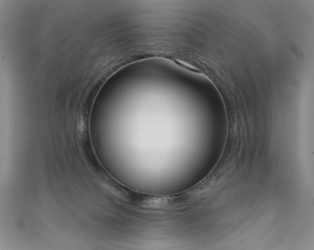 X0000111130084200906301219