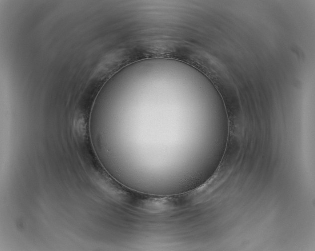 X0000111130086200906301219
