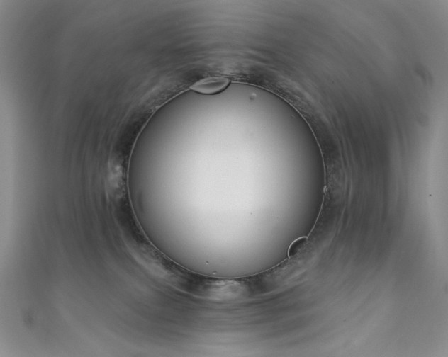 X0000111130087200906301219