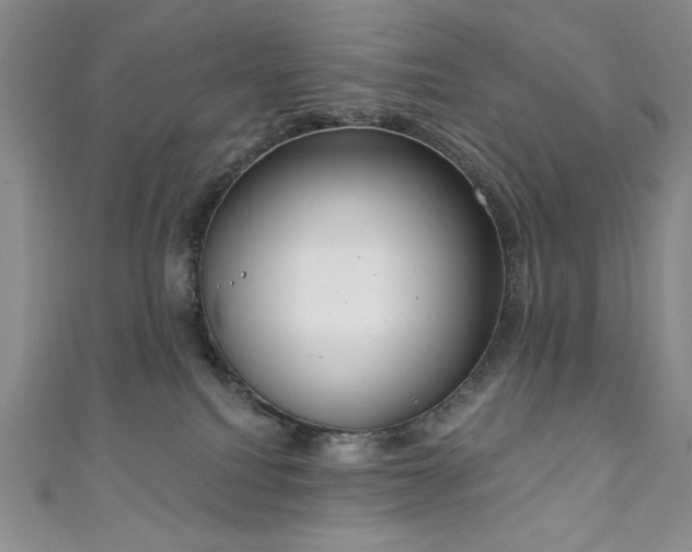 X0000111130088200906301219