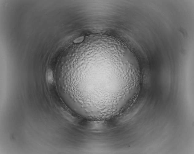 X0000111130089200906301219