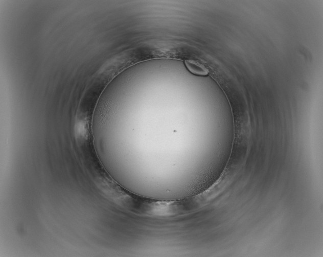 X0000111130090200906301219