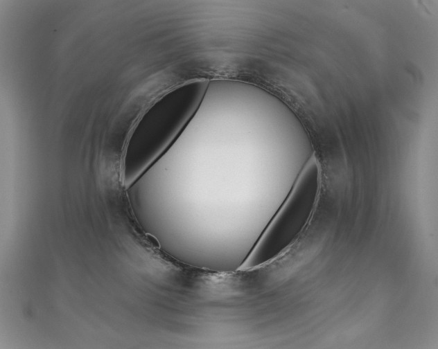 X0000111130092200906301219