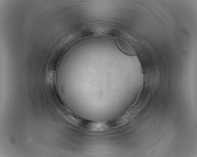 X0000111130093200906301219