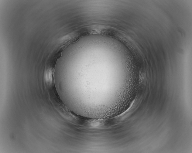 X0000111130094200906301219