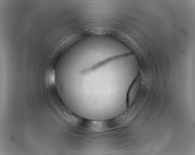 X0000111130095200906301219