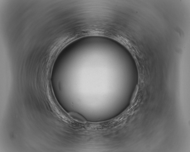 X0000111130097200906301218