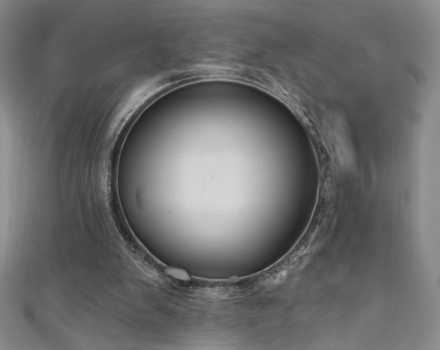 X0000111130103200906301218