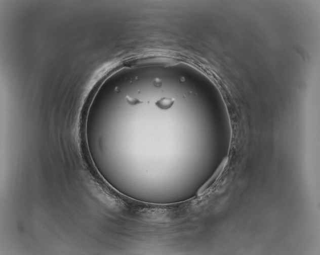 X0000111130104200906301218
