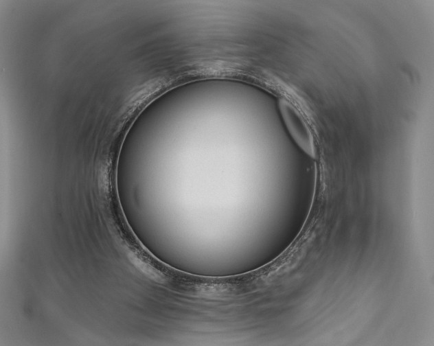 X0000111130105200906301218