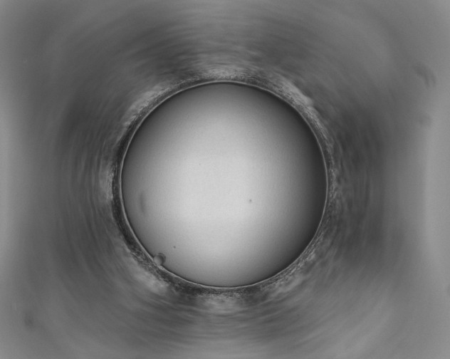 X0000111130106200906301218