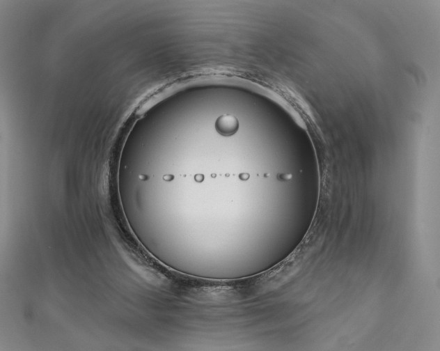 X0000111130108200906301218