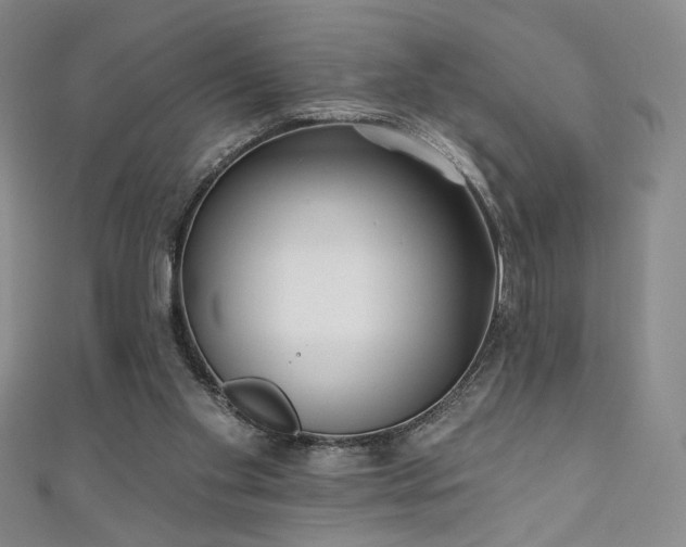 X0000111130109200906301218