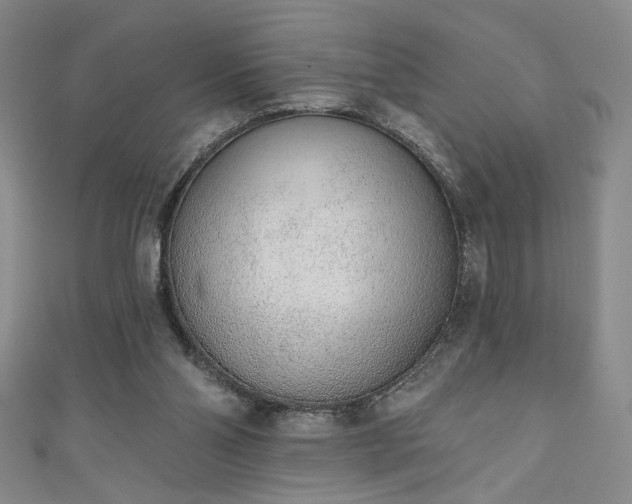 X0000111130110200906301218