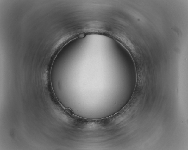 X0000111130111200906301218