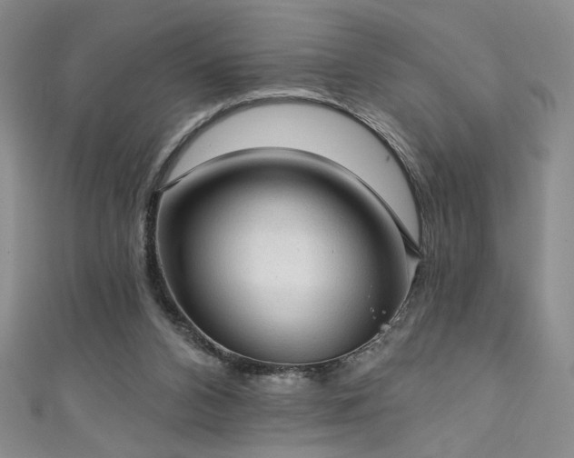 X0000111130112200906301218