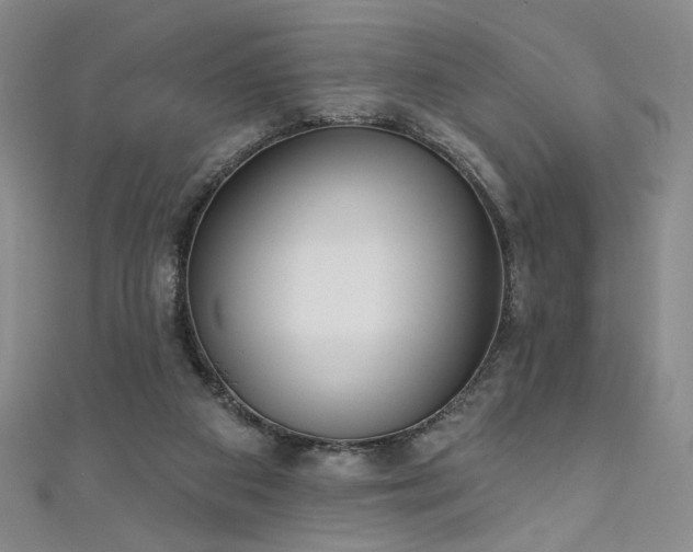 X0000111130113200906301218