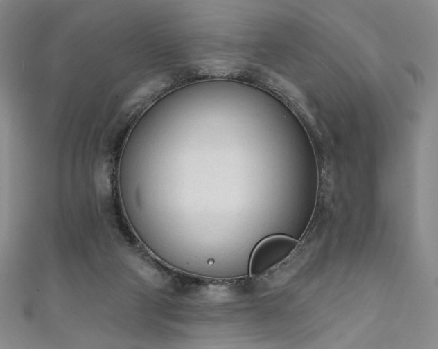 X0000111130114200906301218