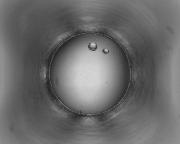 X0000111130115200906301218