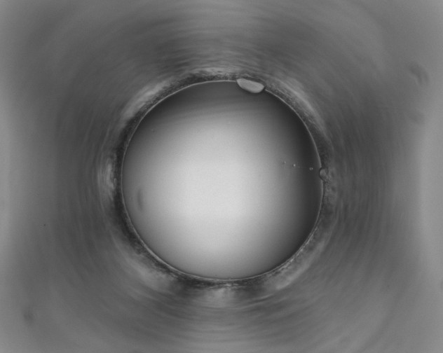 X0000111130116200906301218