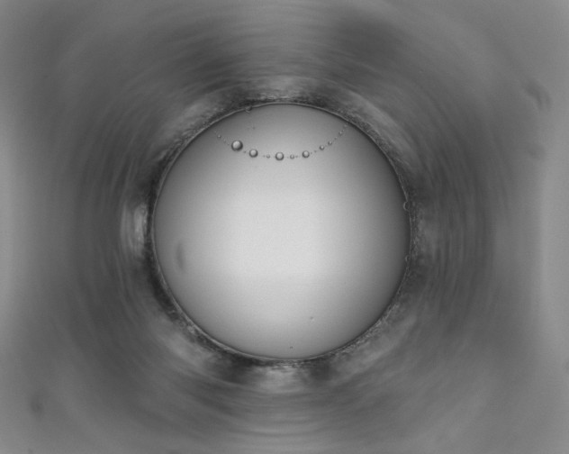 X0000111130118200906301218