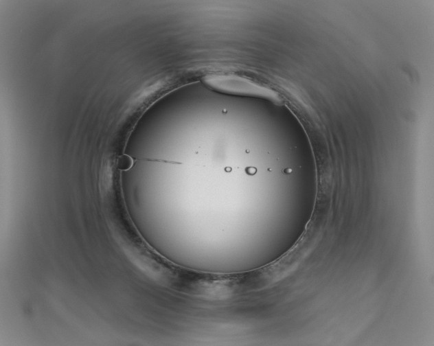 X0000111130120200906301218