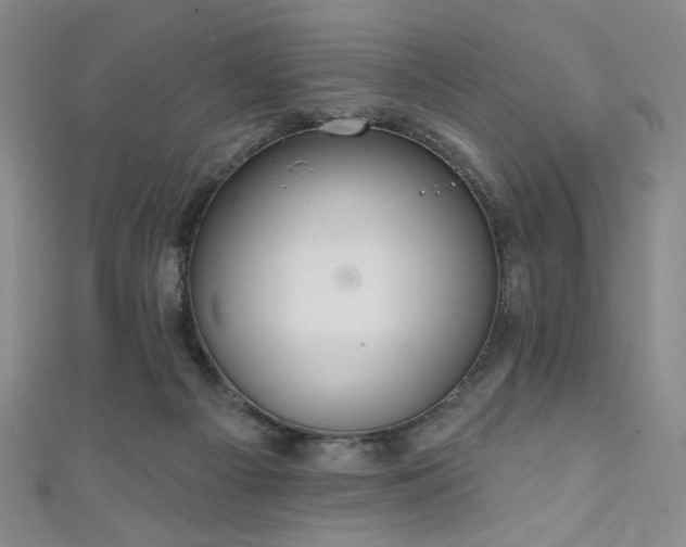X0000111130121200906301218